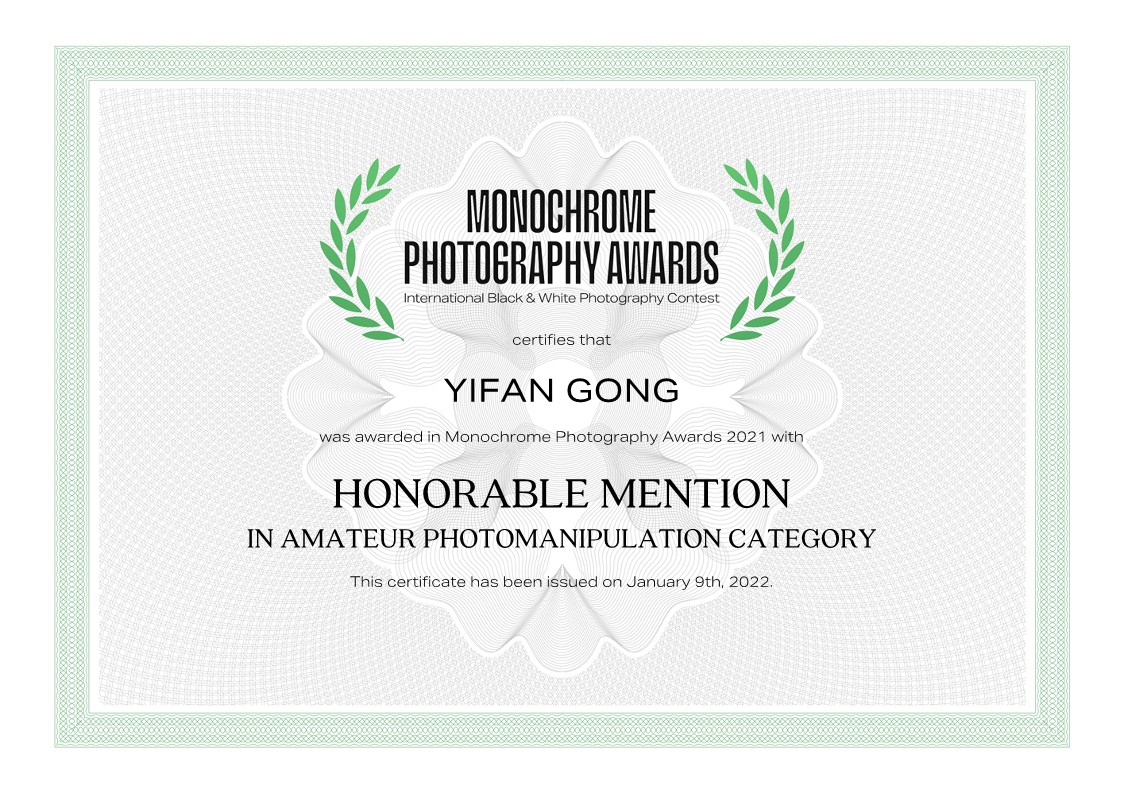 Forest Mist Honourable Mention Certificate