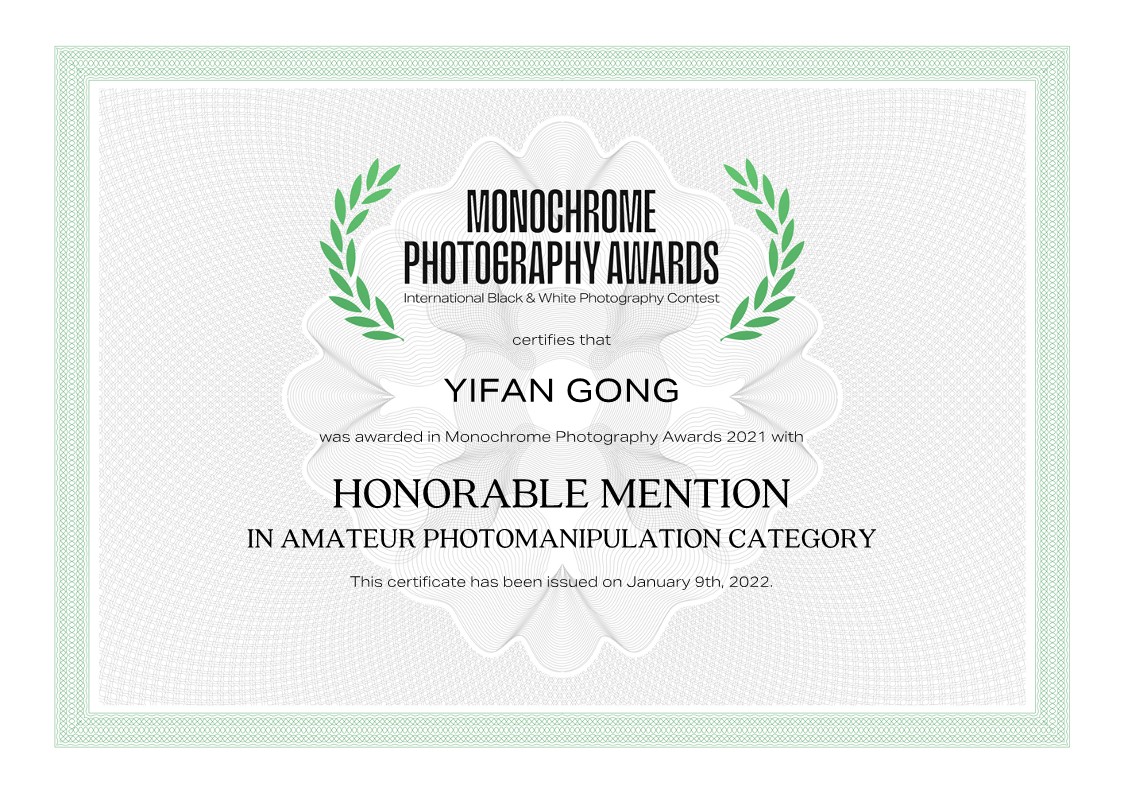 Forest Mist Honourable Mention Certificate
